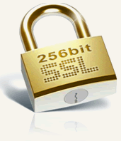 A Loja Virtual Microum Possui chave de segurança SSL